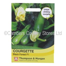 Thompson & Morgan Courgette Black Forest F1